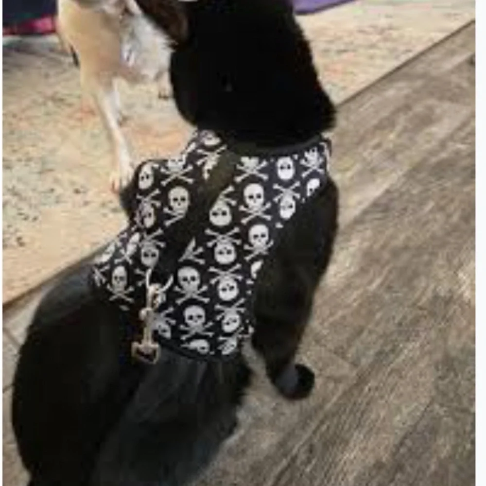 Skull Pattern Cat Harness with Leash